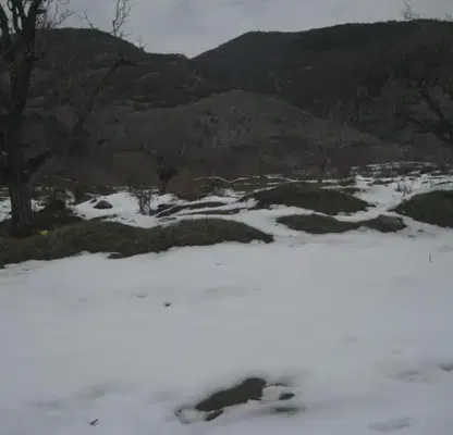 Photo 3 — Plot in Oblast Plovdiv, Karlovo