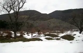 Парцел в Пловдив, Карлово