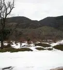 Парцел в Пловдив, Карлово