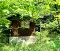 Снимка 4 — Парцел в Пловдив, Карлово