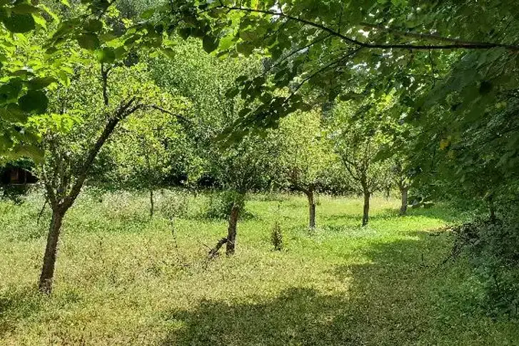 Plot in Oblast Plovdiv, Karlovo