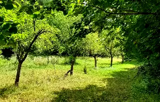 Парцел в Пловдив, Карлово