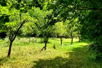 Парцел в Пловдив, Карлово