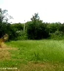 Парцел в Пловдив, Карлово