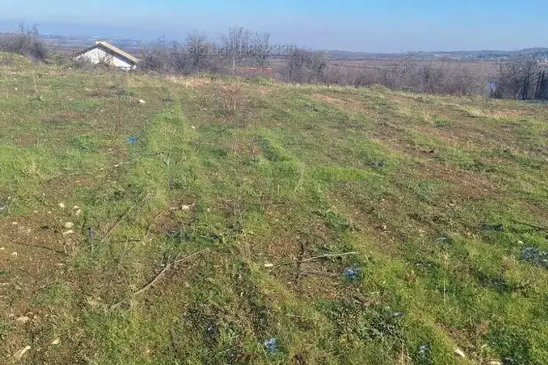 Plot in Oblast Plovdiv, Perushtica