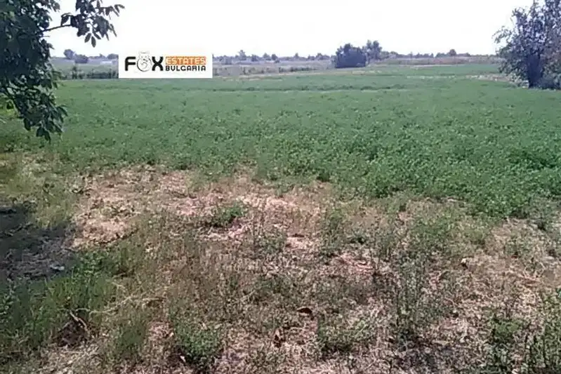 Plot in Oblast Plovdiv, Stamboliiski