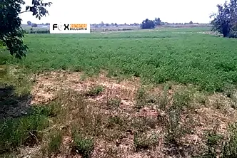 Парцел в Пловдив, Стамболийски