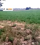 Парцел в Пловдив, Стамболийски