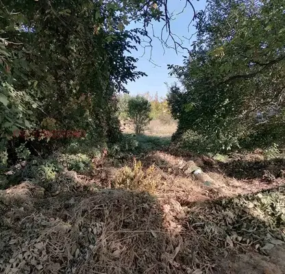 Photo 5 — Plot in Oblast Plovdiv, Branipole
