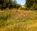 Снимка 4 — Парцел в Пловдив, с. Царацово