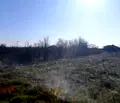 Снимка 5 — Парцел в Пловдив, с. Голям чардак