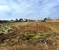 Снимка 3 — Парцел в Пловдив, с. Градина