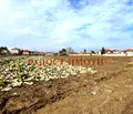 Снимка 4 — Парцел в Пловдив, с. Градина