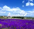 Снимка 2 — Парцел в Пловдив, с. Марково