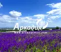 Снимка 3 — Парцел в Пловдив, с. Марково