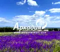 Снимка 4 — Парцел в Пловдив, с. Марково