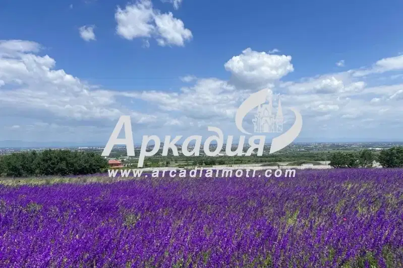 Plot in Oblast Plovdiv, Markovo