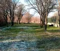 Снимка 3 — Парцел в Пловдив, с. Марково