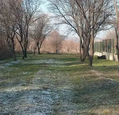 Photo 3 — Plot in Oblast Plovdiv, Markovo
