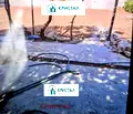 Снимка 4 — Парцел в Пловдив, с. Моминско