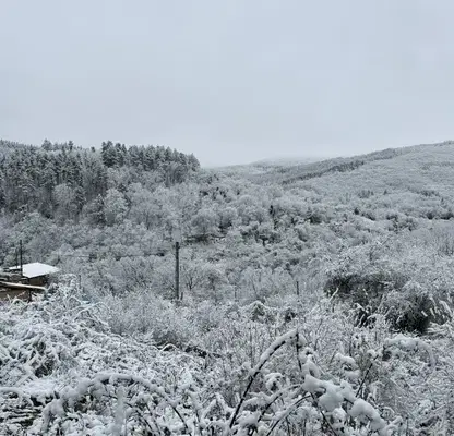 Снимка 5 — Парцел в Пловдив, с. Мраченик