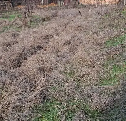 Снимка 2 — Парцел в Пловдив, с. Ново Железаре