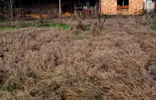 Парцел в Пловдив, с. Ново Железаре
