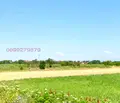 Снимка 3 — Парцел в Пловдив, с. Рогош