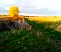 Снимка 5 — Парцел в Пловдив, с. Ягодово