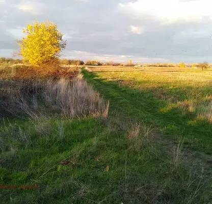 Photo 5 — Plot in Oblast Plovdiv, Yagodovo