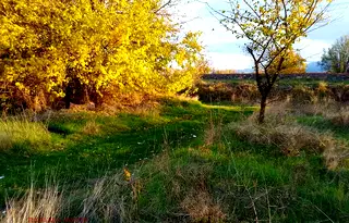 Парцел в Пловдив, с. Ягодово