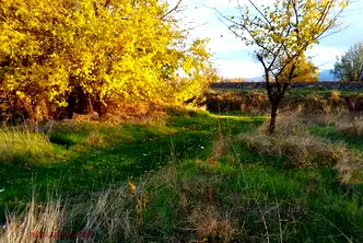 Парцел в Пловдив, с. Ягодово