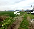 Снимка 2 — Парцел в Пловдив, с. Златитрап