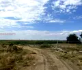 Снимка 3 — Парцел в Пловдив, с. Златитрап