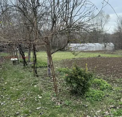 Снимка 3 — Парцел в Разград, с. Пороище