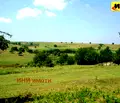 Снимка 4 — Парцел в Разград, с. Звънарци