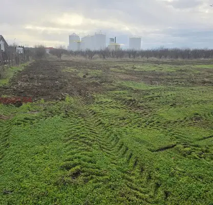 Photo 3 — Plot in Oblast Ruse, Marten