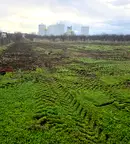 Парцел в Русе, Мартен