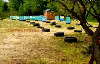 Парцел в Русе, с. Долно Абланово