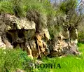 Снимка 5 — Парцел в Русе, с. Кошов