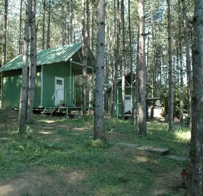 Снимка 5 — Парцел в Русе, с. Могилино