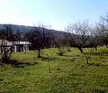 Снимка 2 — Парцел в Силистра, с. Калипетрово