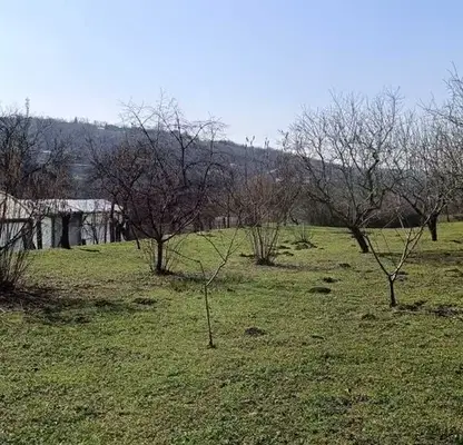 Снимка 2 — Парцел в Силистра, с. Калипетрово