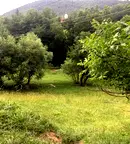 Парцел в Смолян, с. Дунево