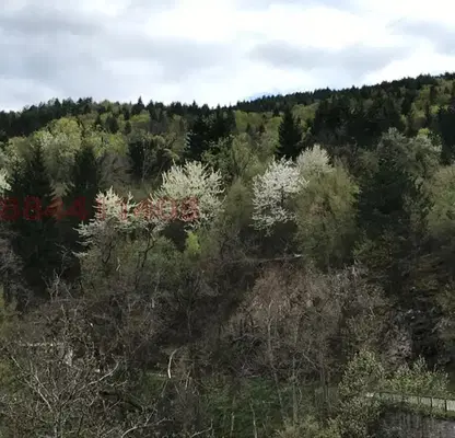 Photo 2 — Plot in Oblast Smolyan, Orehovo