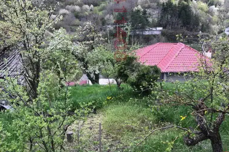 Парцел в Смолян, с. Орехово