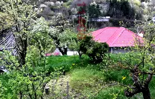 Парцел в Смолян, с. Орехово