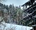 Снимка 2 — Парцел в Смолян, с. Зорница