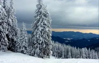 Парцел в Смолян, с. Зорница