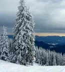 Парцел в Смолян, с. Зорница